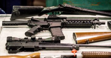 New laws could enact a permanent weapons amnesty in the ACT