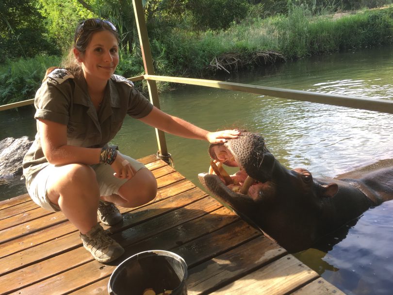 Woman with hippo in water