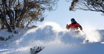 Deepest natural snow in years but high-country businesses crying out for visitors