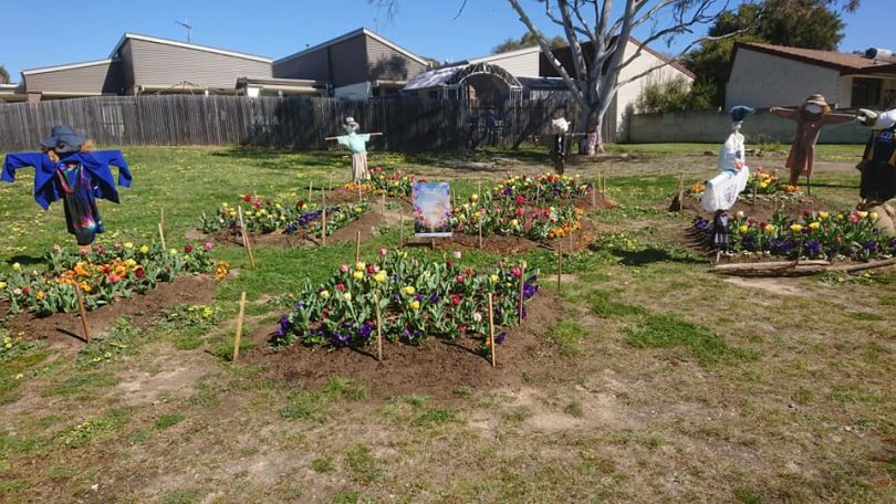 Scarecrows in garden