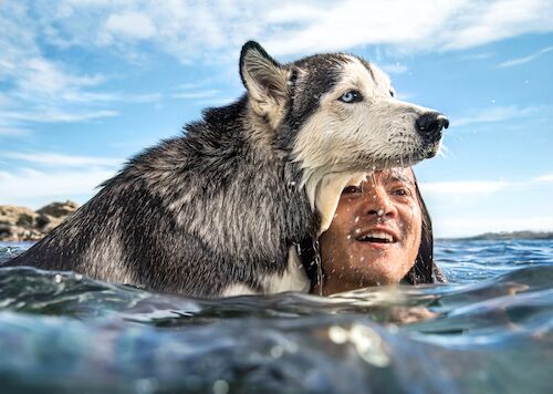 Boy and dog in ocean