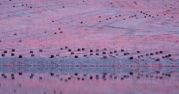 'Psychedelic photography' captures Canberra in unusual pink light