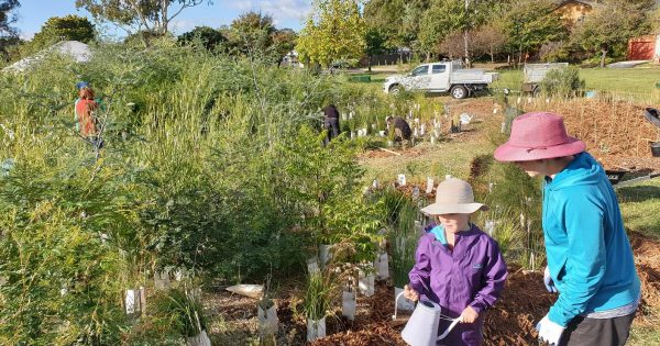 What can shared green spaces do for community wellbeing?