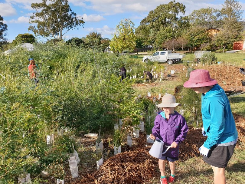 Mum and daughter planting trees in microforest