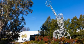 Sports groups join forces to shape pitch for AIS to stay in Canberra