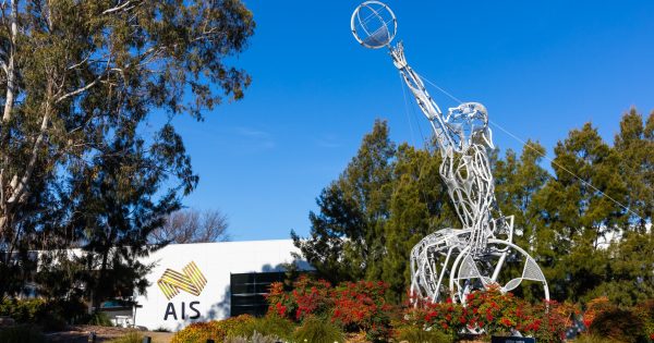 Sports groups join forces to shape pitch for AIS to stay in Canberra