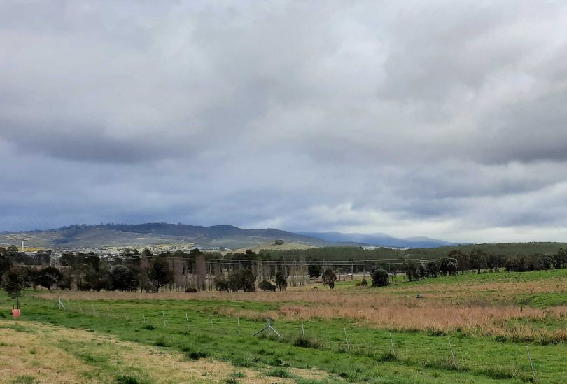 Yarralumla horse paddocks