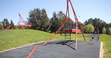 Canberra's playground vandalism problem continues as Yerrabi Pond's flying foxes out of action