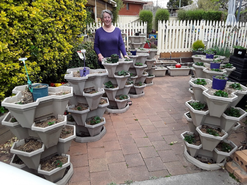 Annette with her strawberry plants