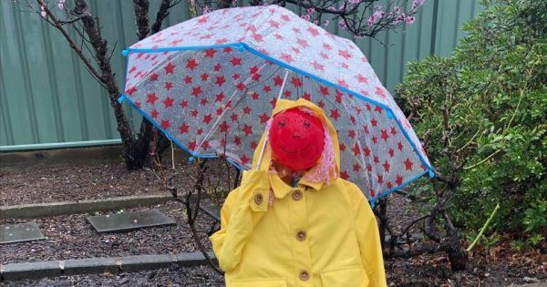 The scarecrows that were outstanding in their field for Father's Day