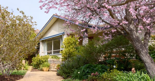 Feel-good family living nestled in a quiet garden and open space