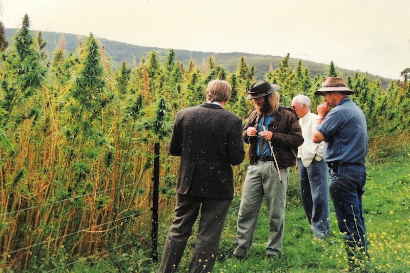 People gathered by hemp crop in Goulburn