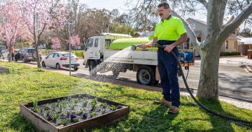 Icon Water is watering the Floriade blooms and asking Canberra to talk