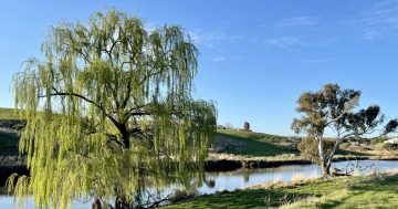 Groundbreaking start for Yarrah development on Yass River