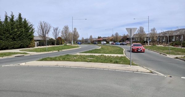 Facelift for 'natureless' Mabo Boulevard median strip following Bonner community feedback