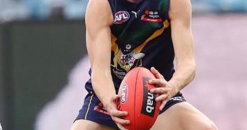 How Josh Fahey, the son of an ACT rugby union identity, emerged as a potential first-round AFL draft pick