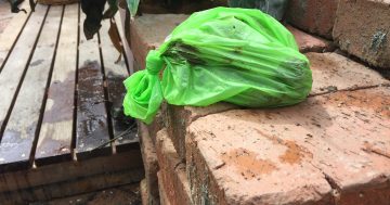 A stinky problem creating anger in Canberra's suburbs