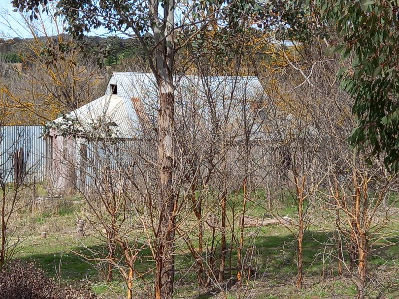 O'Leary's Homestead