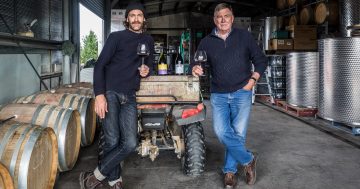 Following wet winter, the 2021 vintage at Mallaluka Wines is 'sensational'