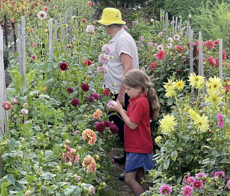 Woman and young girl at Nemori Flower Farm