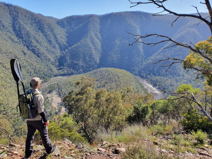 Man looking at view of bushland