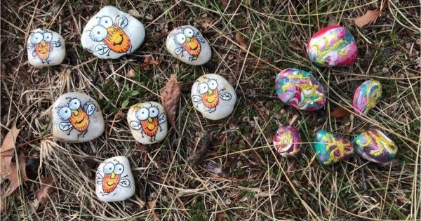 Painted rocks turn Canberra walks into artistic, whimsical treasure hunts