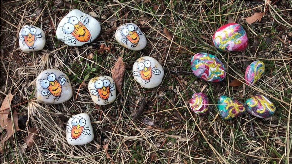 Painted rocks on ground