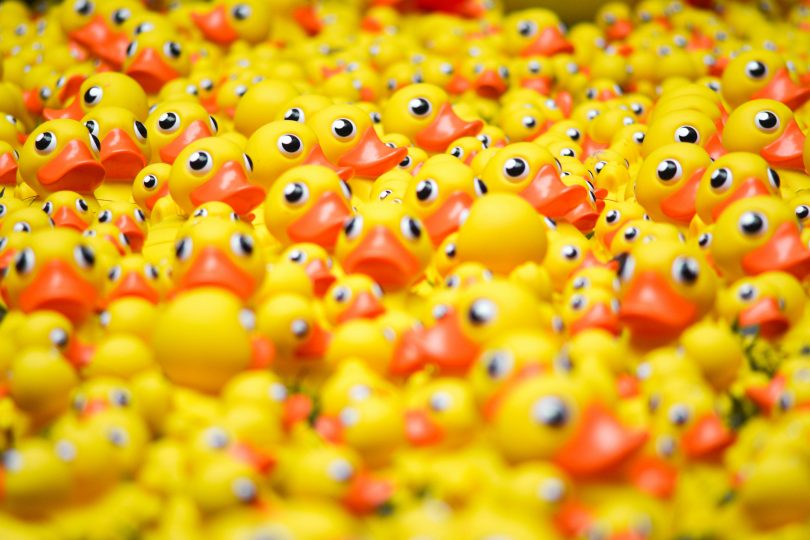 Rubber ducks