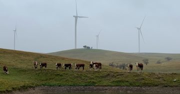 New Crookwell wind farm to inject funds into local community