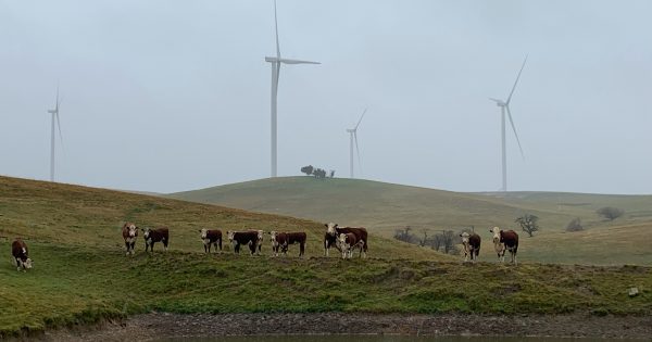 New Crookwell wind farm to inject funds into local community