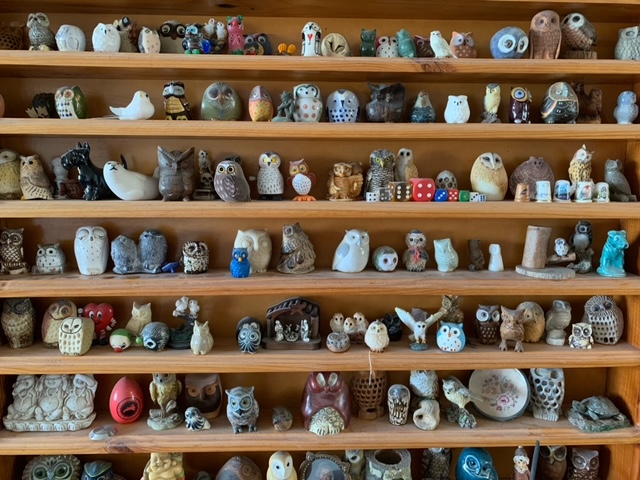 Owls on shelves