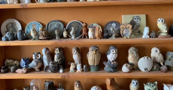 Collecting owls: it's a hoot (and a wise move)