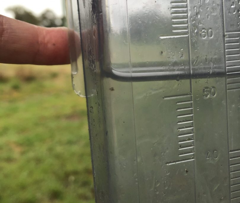 Rain gauge