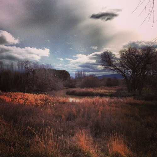 Jerrabomberra Creek