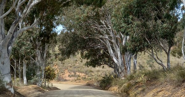 Yass River is the historic road less travelled