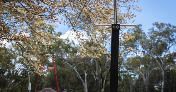 Calls for the 'dangerous' Kambah flying fox to be fixed gather momentum