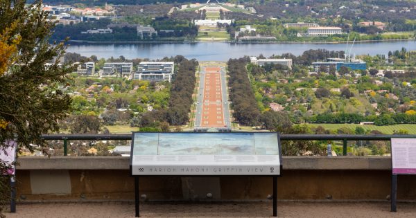 Woman accused of running over man at Mount Ainslie lookout, then not calling for help