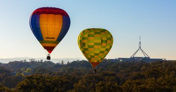 Slow tourism take-off despite border re-opening, but Canberra well placed to benefit