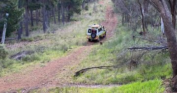 Man stretchered from Mt Majura after bike crash