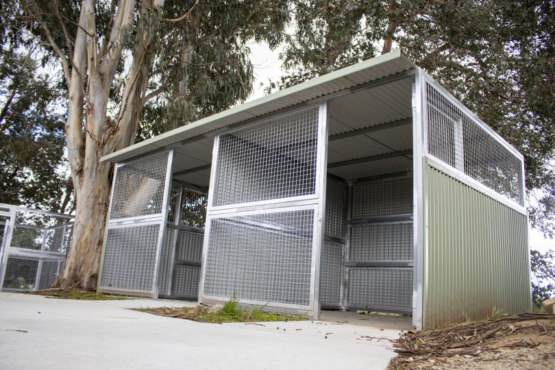 Dog kennels at RSPCA ACT