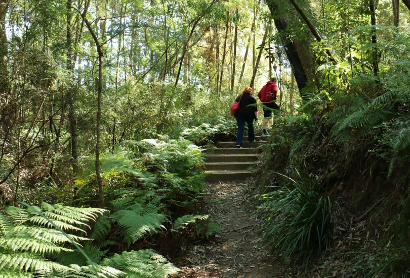 Eurobodalla Regional Botanic Gardens