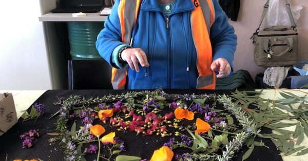 Educational nursery in Goulburn helping people and plants to bloom