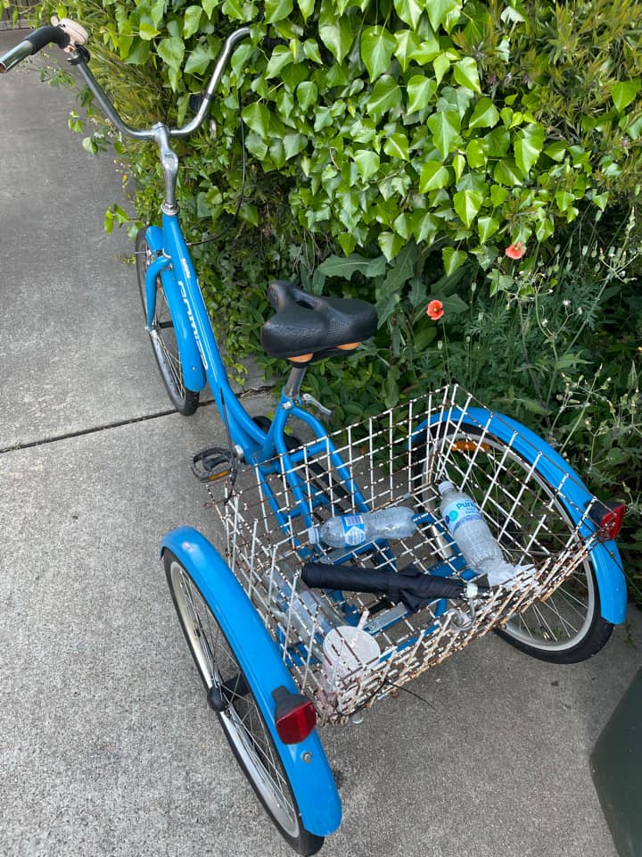 Blue tricycle