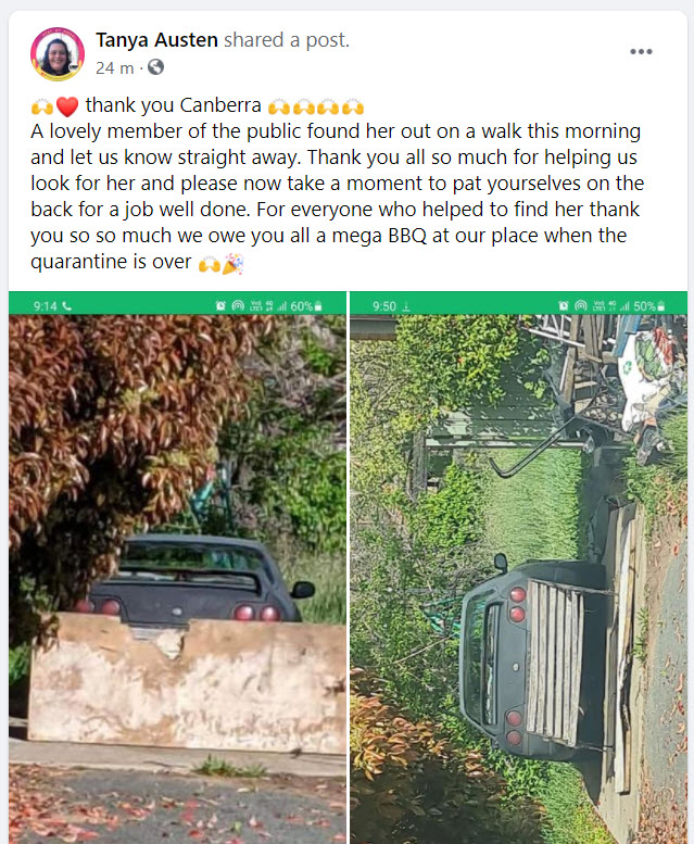 Car under a tree