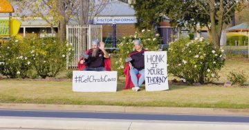 Cowra's cheeky campaign set to get Chris Hemsworth to town