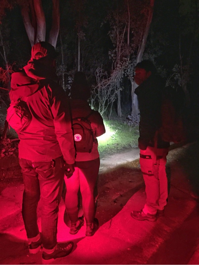 Walkers under a red glow at Mulligans Flat