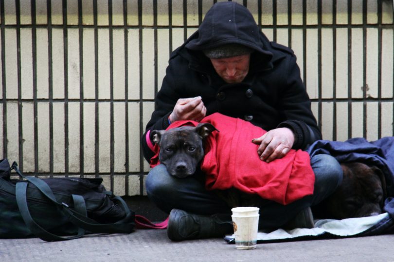 Homeless man on street with dog