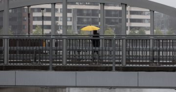 'Black Nor'easter' a recipe for heavy downpours across southeast NSW and Canberra