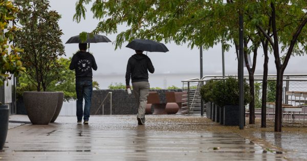 Pull out the brollies, Canberra, more wet weather's on the way
