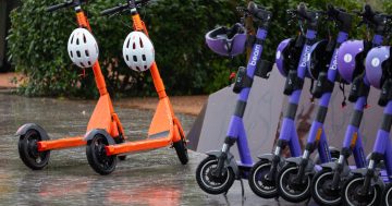 Fed-up Paris may ban hire scooters but Canberra powers on